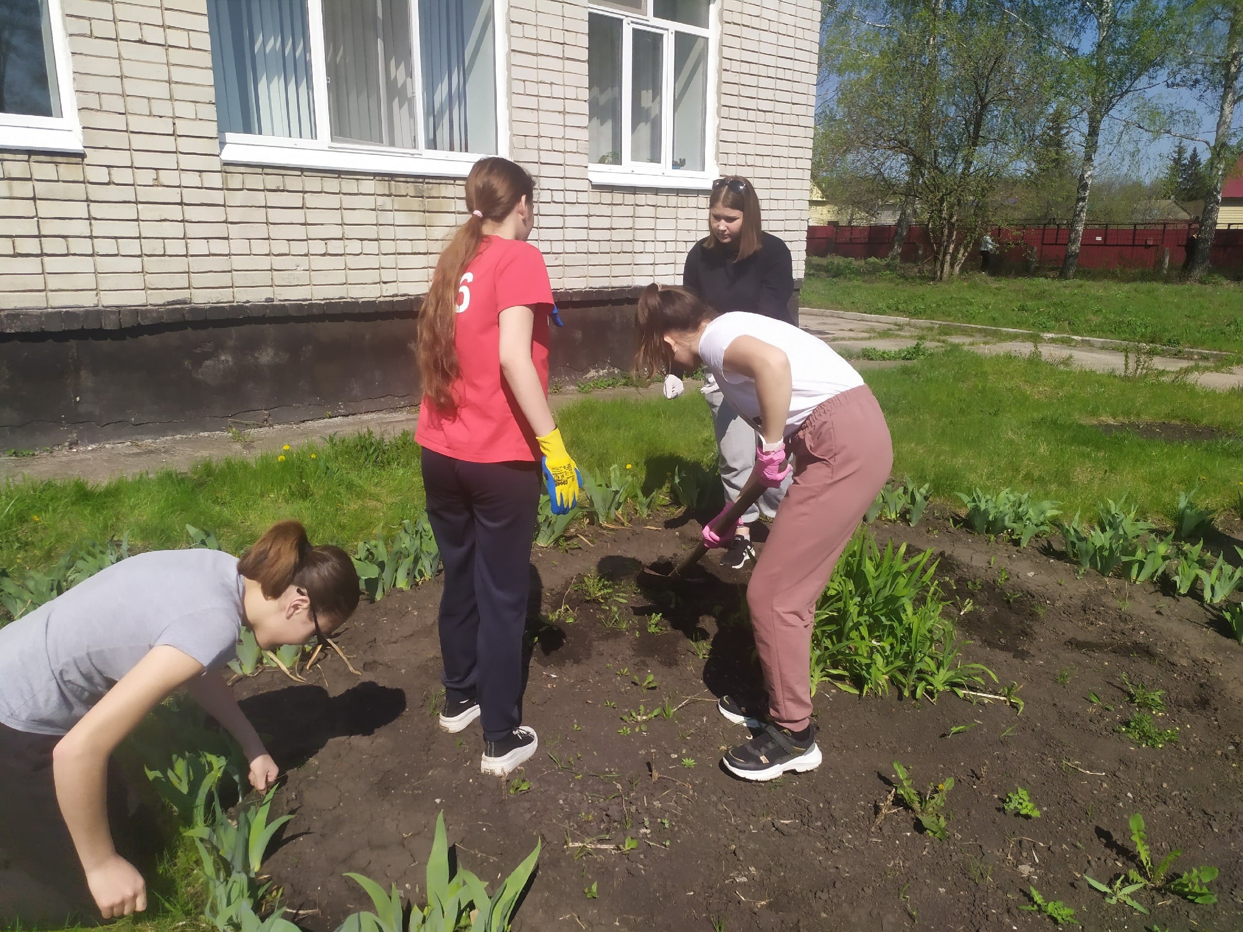 ЦВЕТЫ ПОБЕДЫ.