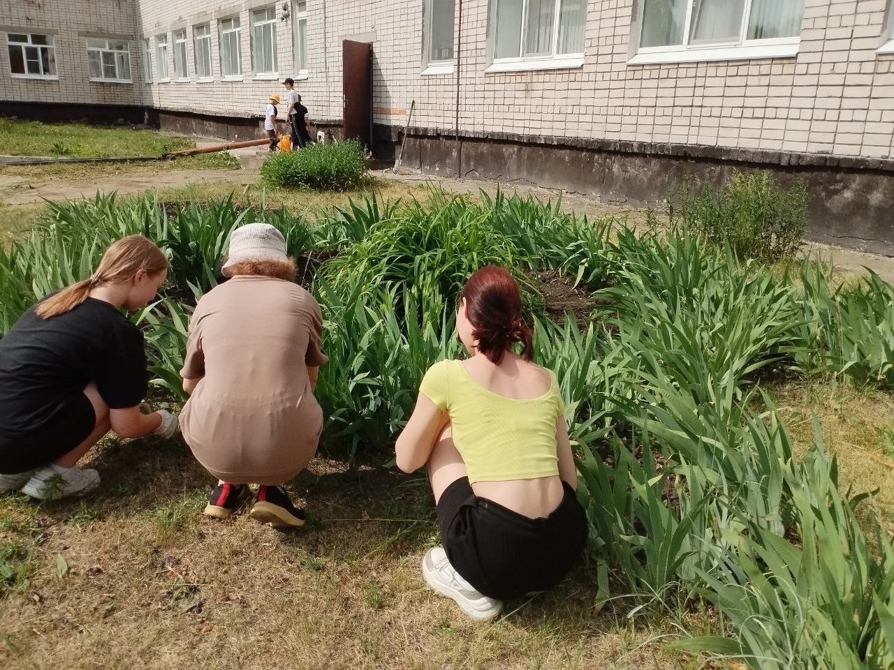 Летний трудовой лагерь.